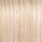 Big Time Wig by Raquel Welch | Lace Front (Mono) Bob