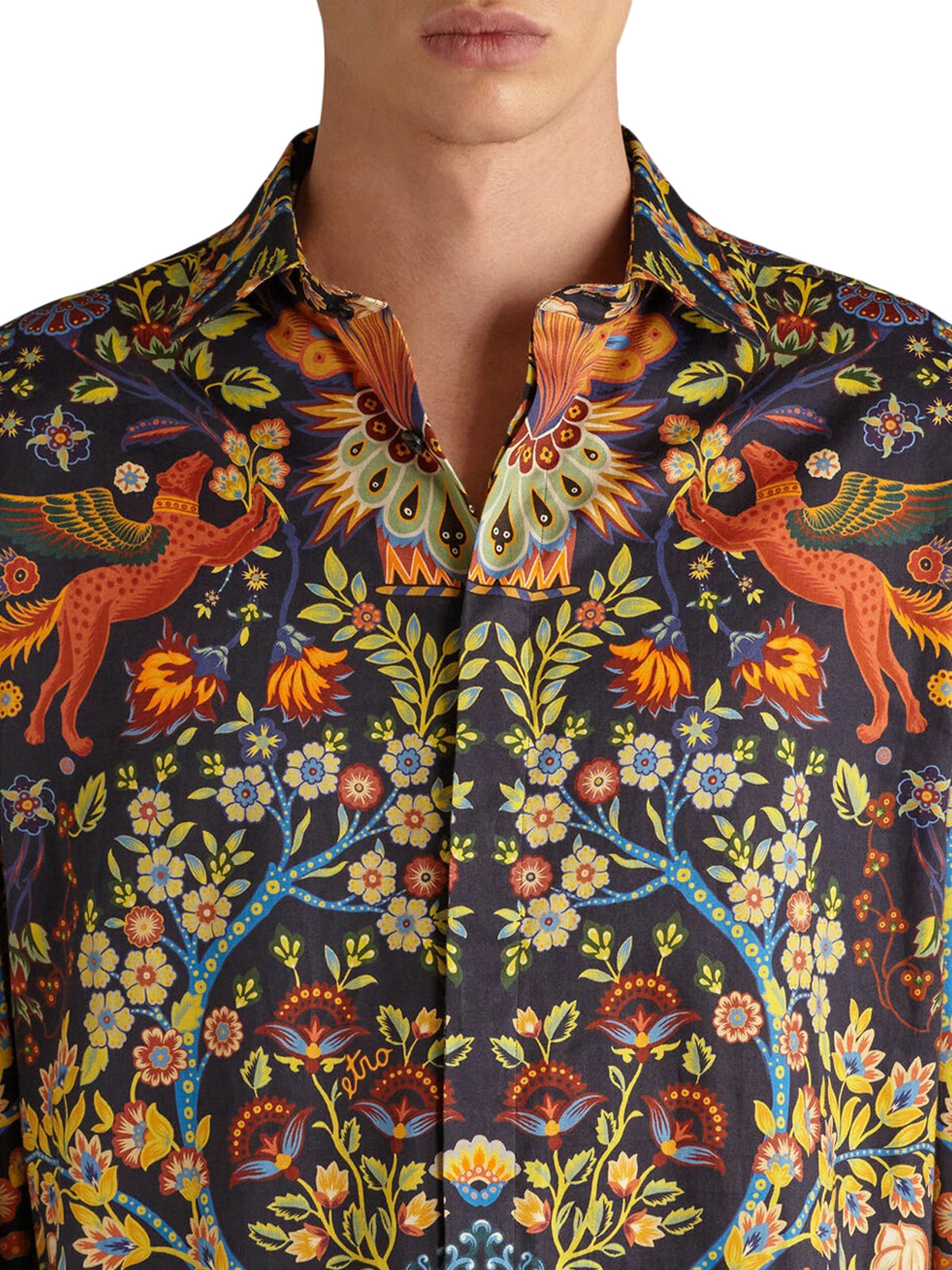 Etro Allover Graphic Print Shirt