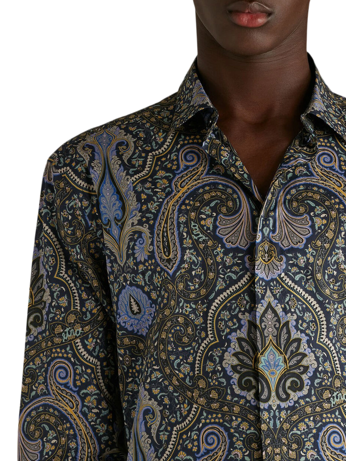 Etro Allover Graphic Print Shirt