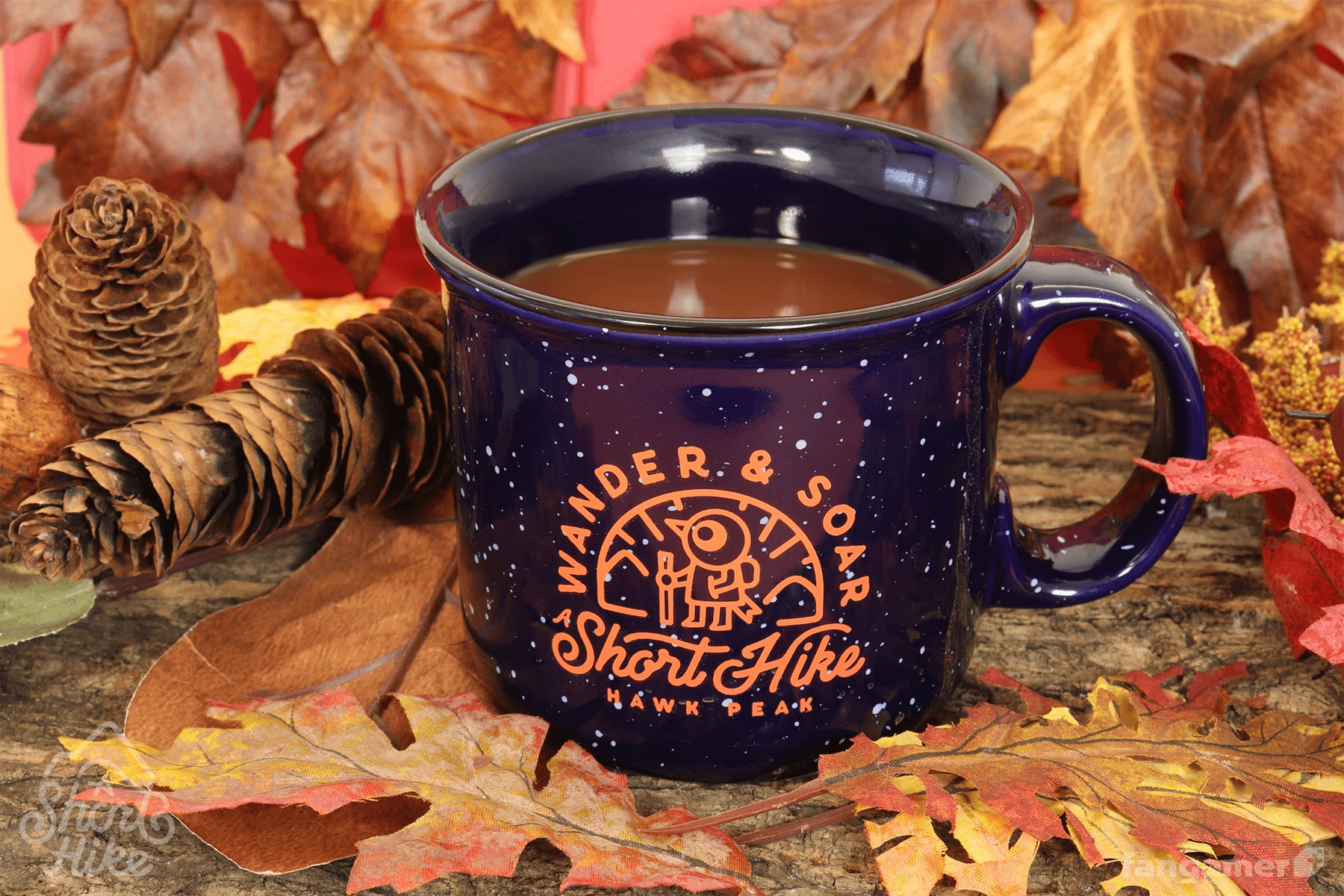 Wander & Soar Mug